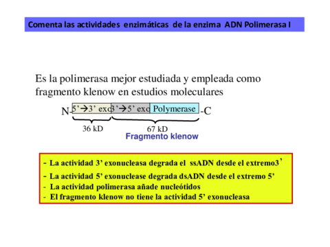 cuestiones-y-problemas-temas-10-12.pdf