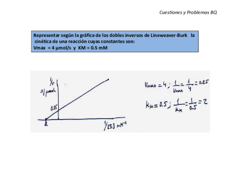 Cuestiones-y-problemas-tema-5-y-6.pdf