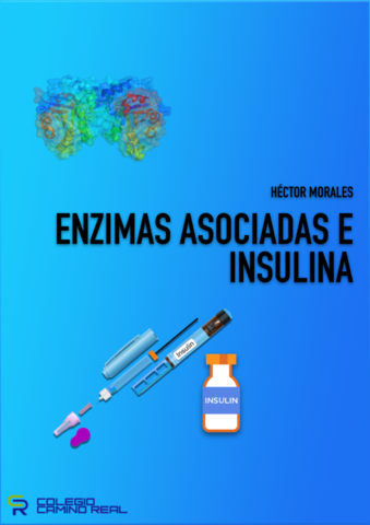 TRABAJO-ENZIMA-DEFINITIVO.pdf