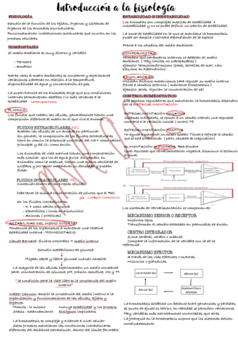 Fisiologia-Animal-1.pdf