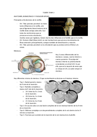 Tema-3-Readaptacion.pdf