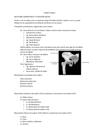Tema-4-Readaptacion.pdf