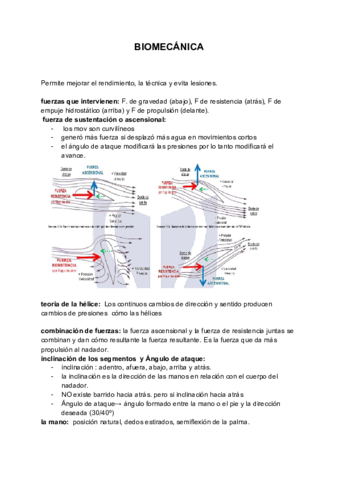 RESUMEN-NATACION.pdf