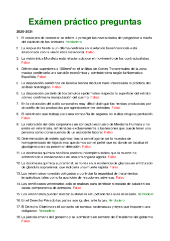 Preguntas-examen-practico.pdf