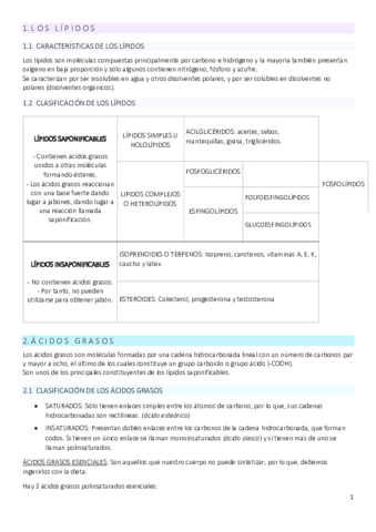 3.pdf