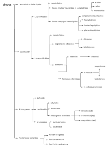 3.pdf