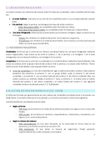 5.pdf