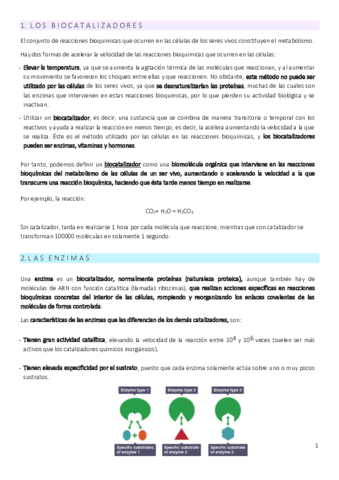 4-2.pdf