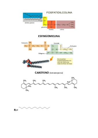 Formulas-lipidicas.pdf