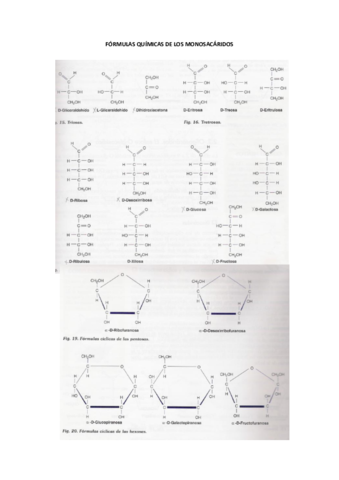 Formulas-monosacaridos.pdf