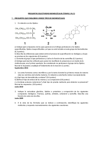 Preguntas-ebau-temas-2-5.pdf