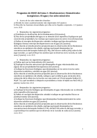 Preguntas-ebau-primer-tema.pdf