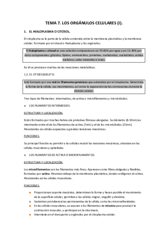 TEMA-7.pdf