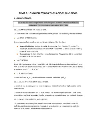 TEMA-5.pdf