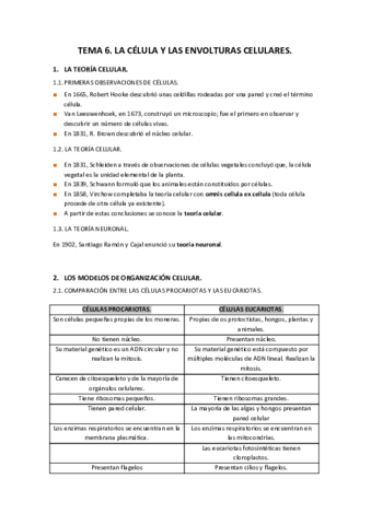 TEMA-6.pdf