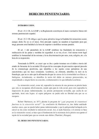 DerechoPenitenciarioUC3M.pdf