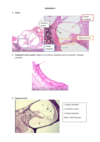 SEMINARIO-9.pdf