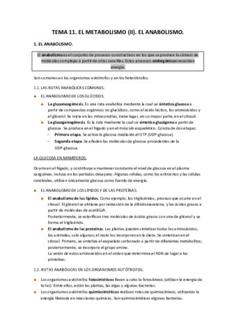 TEMA-11.pdf