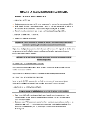 TEMA-13.pdf