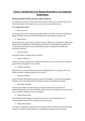 Apuntes-Riesgos.pdf