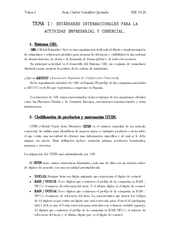 Tema1SIE.pdf
