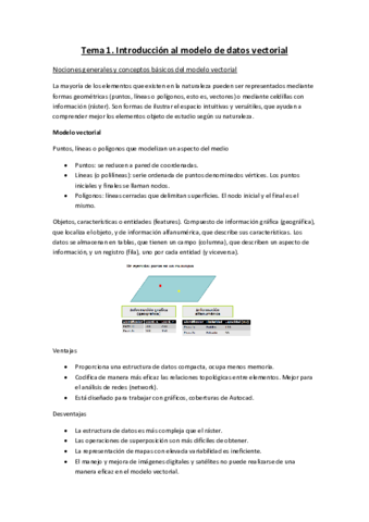 Apuntes-Vectoriales.pdf