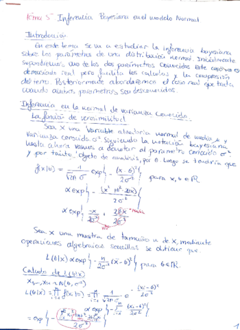 Tema-5-AIE-Bayesiana.pdf