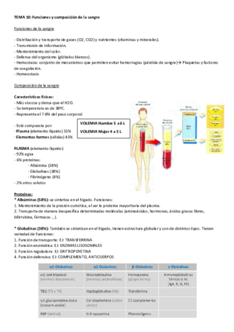 Parcial-2-Fisiologia-general.pdf