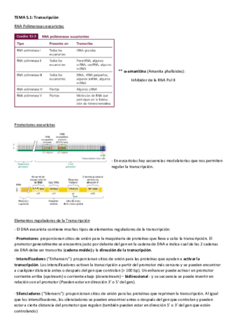 Parcial-2-Genetica-molecular.pdf