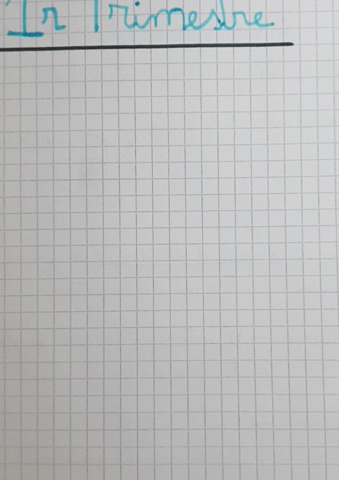 Fisica-Lluis-1r-tema.pdf