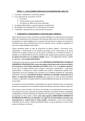 TEMA-11-Consecuencias-accesorias-del-delito.pdf