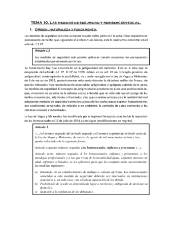 TEMA-10-Medidas-de-seguridad-y-reinsercion-social.pdf