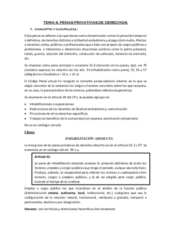 TEMA-6-Penas-privativas-de-derechos.pdf