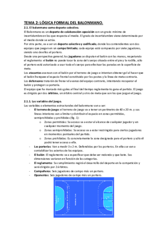 TEMA-2-BALONMANO.pdf