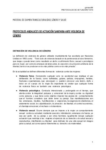 PROTOCOLO-ANTE-VIOLENCIA-DE-GENERO.pdf