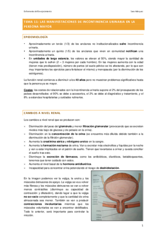 Tema-11.pdf