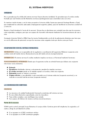 EL-SISTEMA-NERVIOSO.pdf