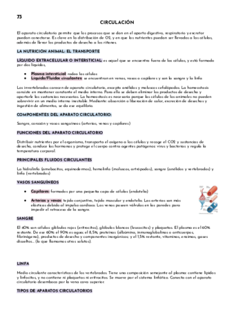 CIRCULACION-1.pdf