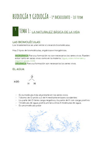 BIOLOGIA-Y-GEOLOGIA-1o-BACHILLERATO-1st-term.pdf