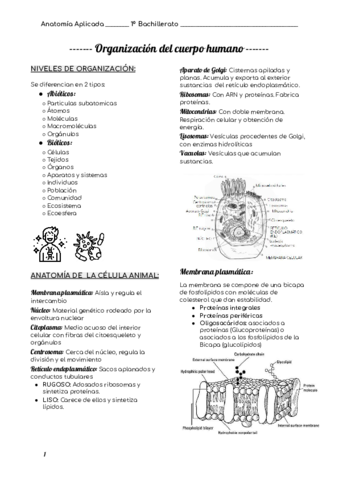 1er-trimestre-.pdf