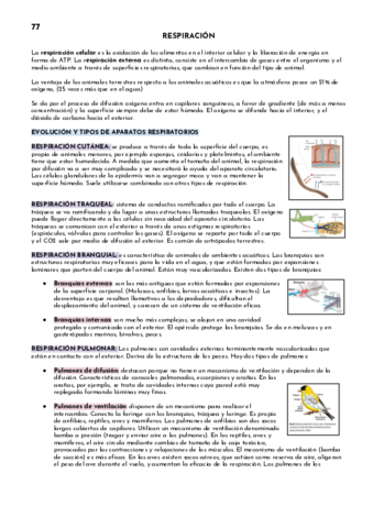 RESPIRACION.pdf