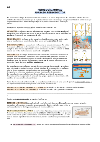 Fisiologia-Animal.pdf