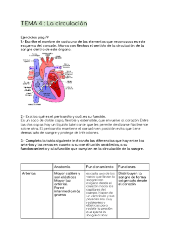 Tema-4--La-circulacion-1.pdf