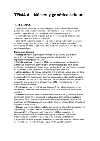 Tema 4.pdf
