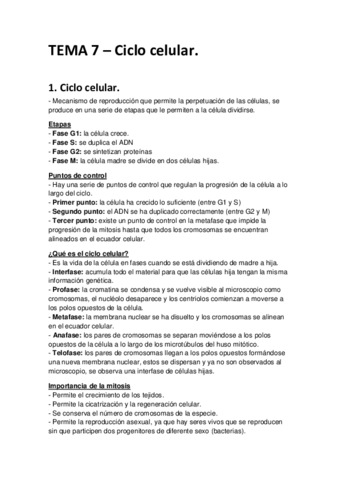 Tema 7.pdf