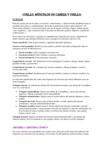 TEMA-CUELLO-Y-MUSCULOS-DE-CABEZACUELLO.pdf