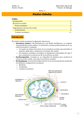 TEMA 15. Núcleo Celular