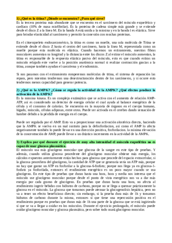 Preguntas-importantes.pdf