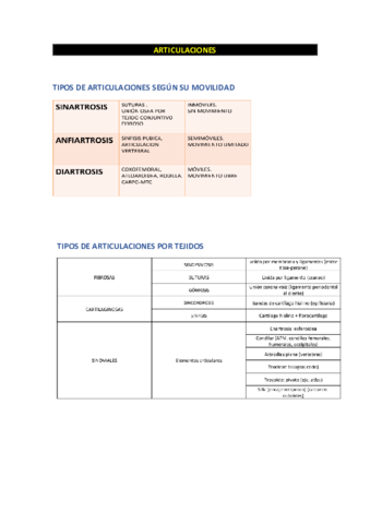 Anatomia-Articulaciones.pdf