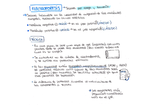 Electroforesis.pdf